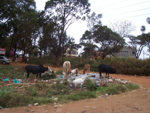 Straße in Machakos